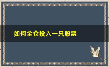 “如何全仓投入一只股票不亏